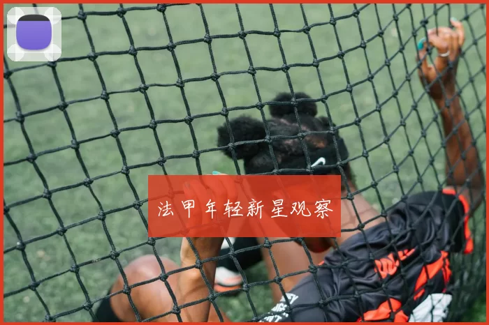 法甲年轻新星观察