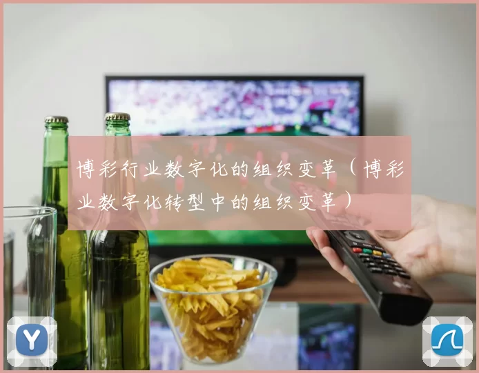 博彩行业数字化的组织变革（博彩业数字化转型中的组织变革）