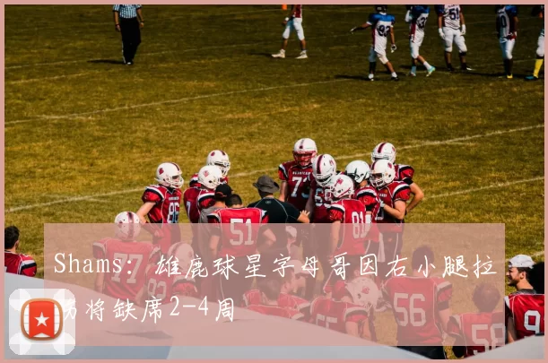 Shams：雄鹿球星字母哥因右小腿拉伤将缺席2-4周