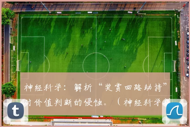 神经科学：解析“奖赏回路劫持”对价值判断的侵蚀。（神经科学视角：奖赏回路“劫持”如何侵蚀价值判断）