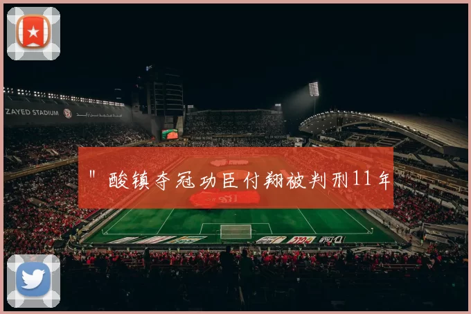 ＂酸镇夺冠功臣付翔被判刑11年